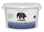 Cap-elast phase 1